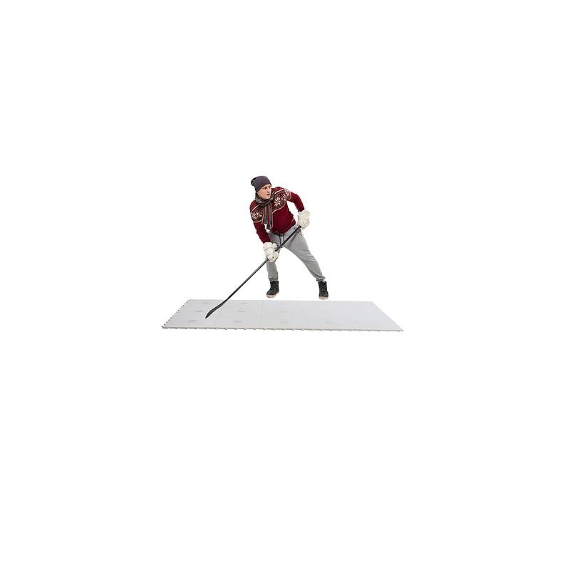 HOCKEY REVOLUTION picture