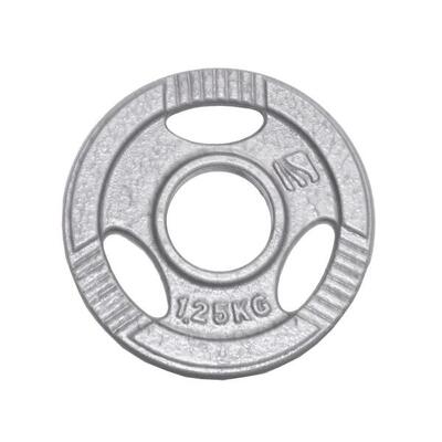 Halterschijf 30 mm – hamerton – 1.25 kg – gietijzer