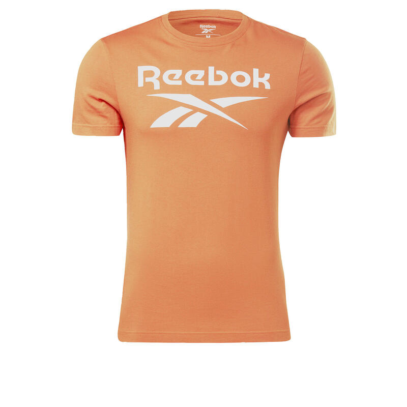Camiseta Reebok Identity Big Logo
