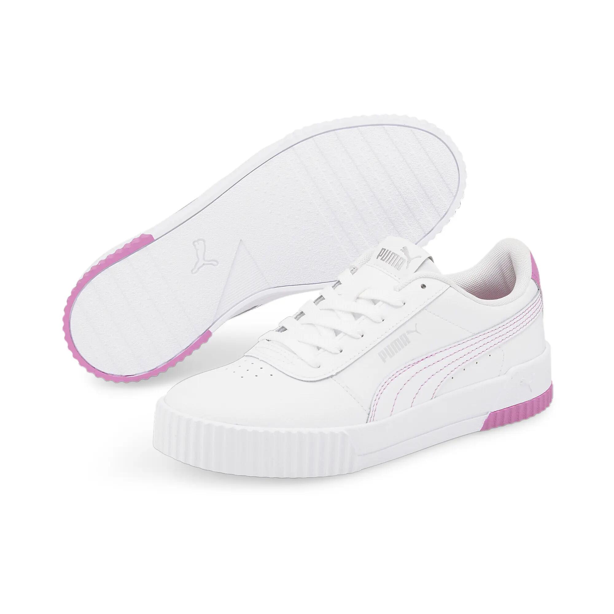 PUMA picture