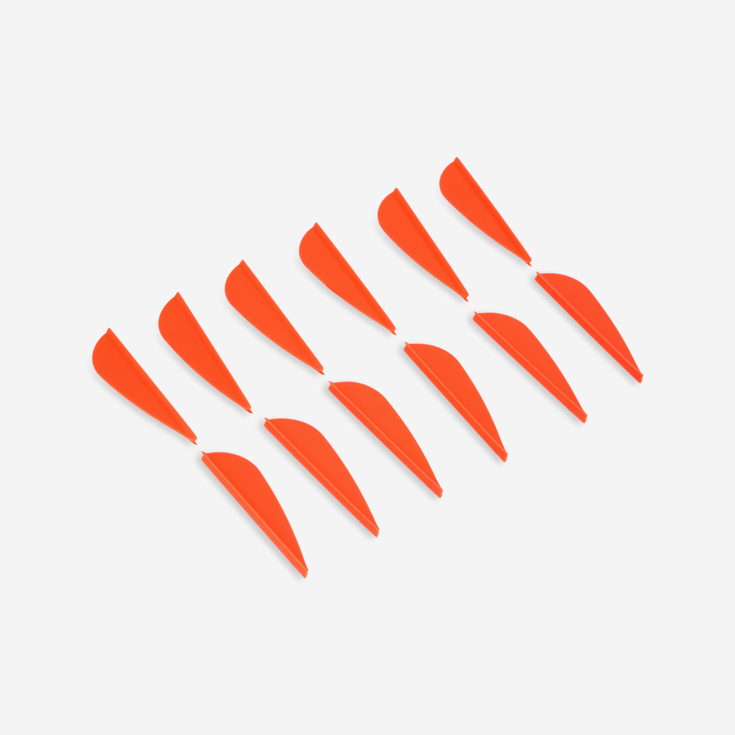 12 plumes tir a l'arc club rouge - Archerie - Geologic- Clubs - Entreprises - Collectivités - Associations