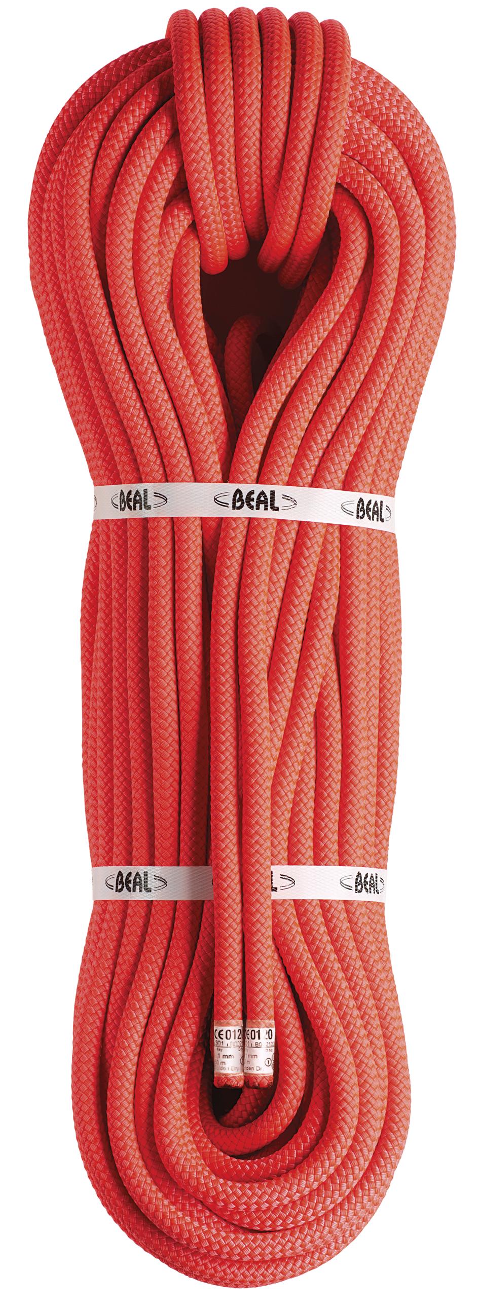 BEAL Pro Canyon Rope 10.3 mm 40 m