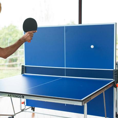 FT 730 Indoor Free Table Tennis Table 