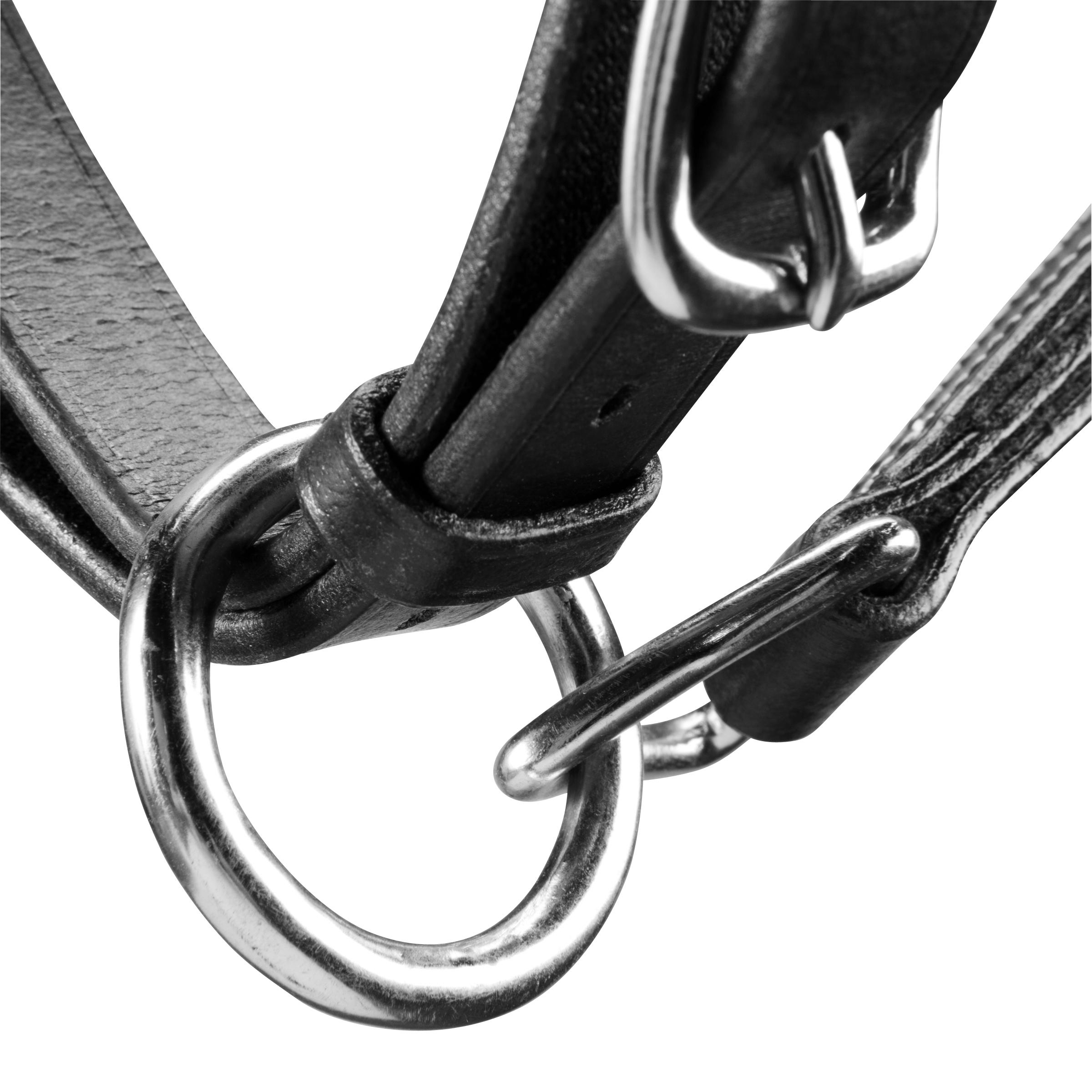 Romeo Horse Riding Leather Horse/Pony Halter - Black 5/9