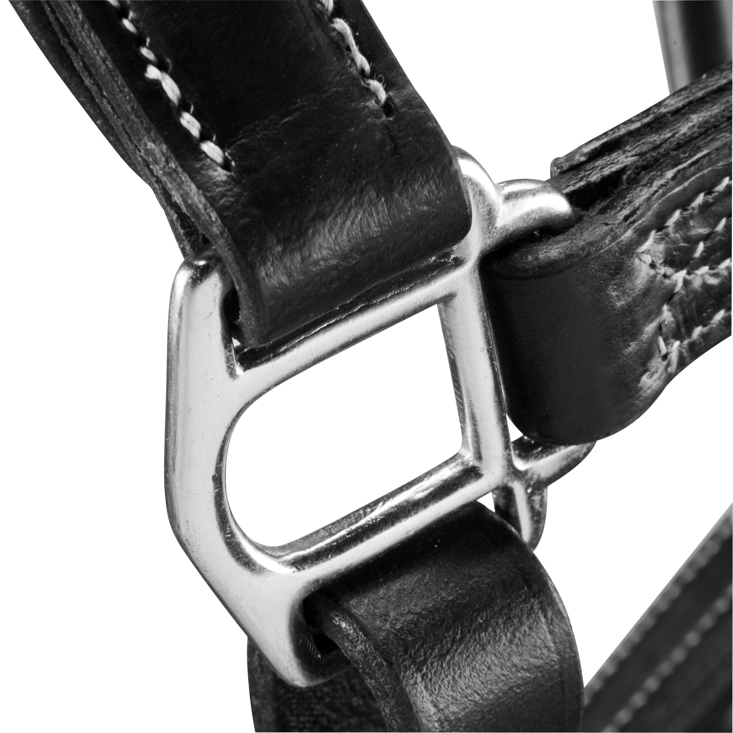 Romeo Horse Riding Leather Horse/Pony Halter - Black 6/9
