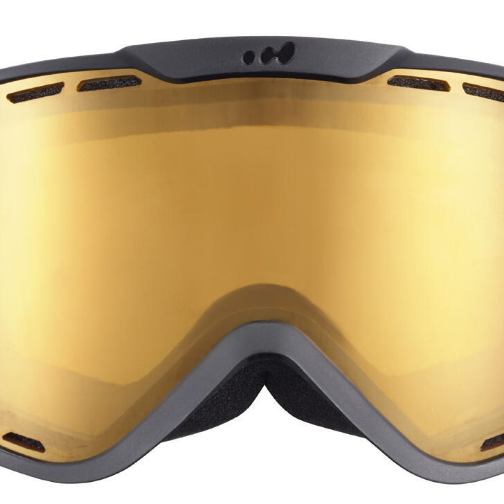 Adult Ski and Snowboard Goggles All Weather G 940 E