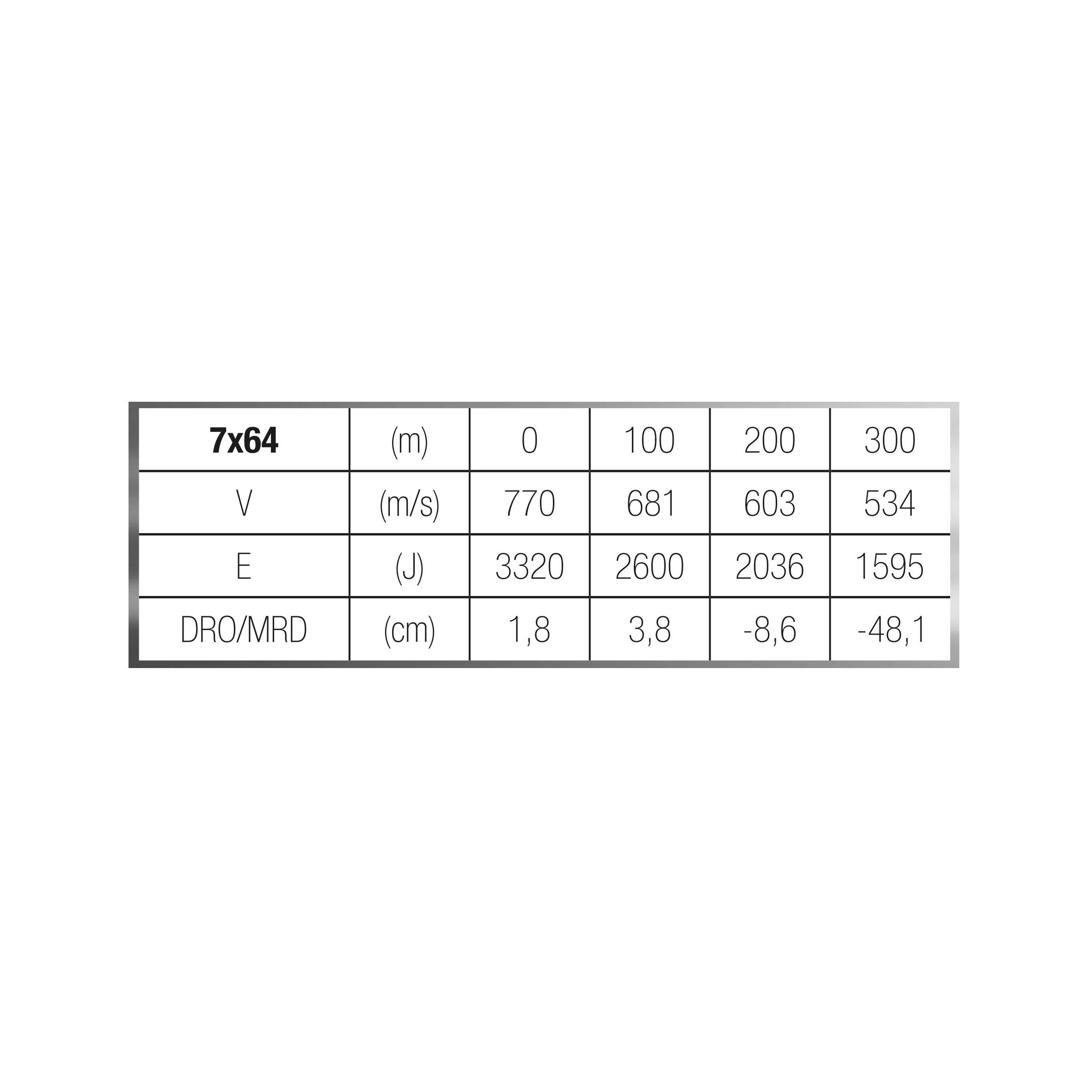 Balle 7x64 11,2G/173GRS X20 4/4