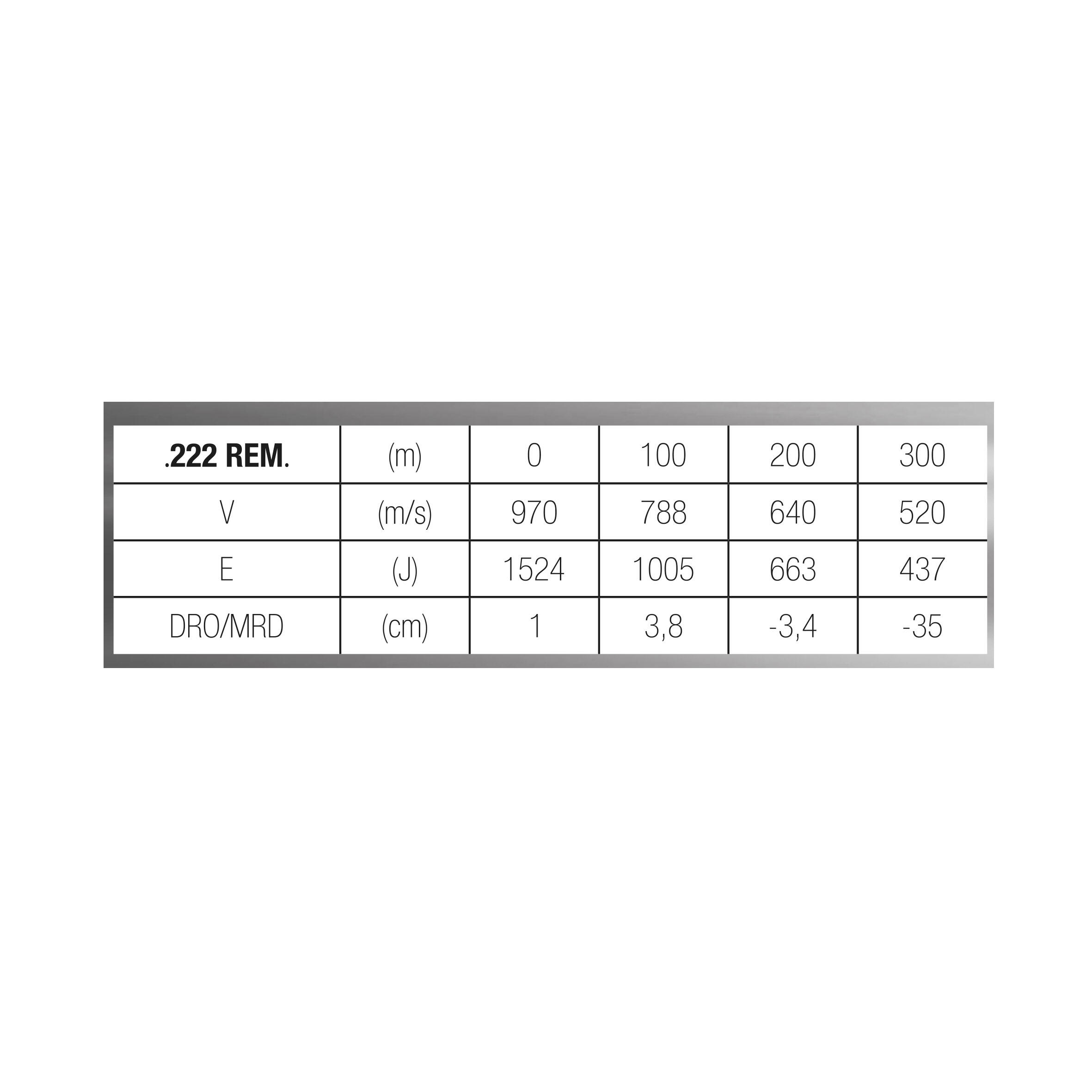 Balle 222 REMINGTON 3,24G/50GRS X50 4/4