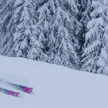 ski de piste femme confirme