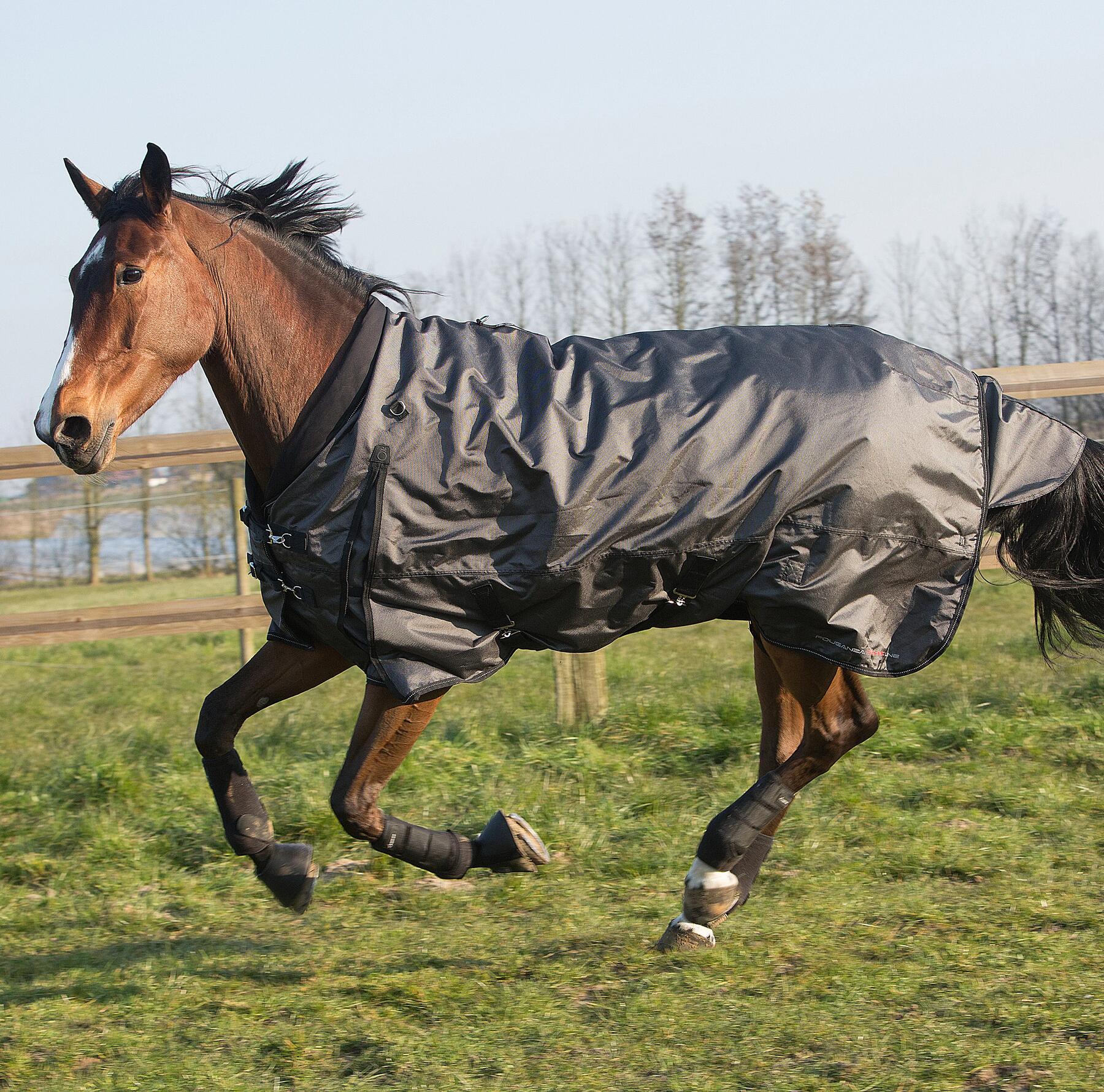 Een paard galoppeert in de weide