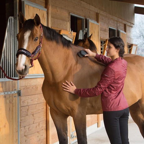 bien-etre-pansage-cheval-equitation-fouganza-3 bien-etre-pansage-cheval-equitation-fouganza-3