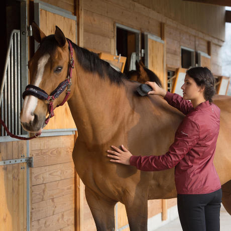 pansage cheval equitation fouganza bien etre 1 pansage cheval equitation fouganza bien etre 1