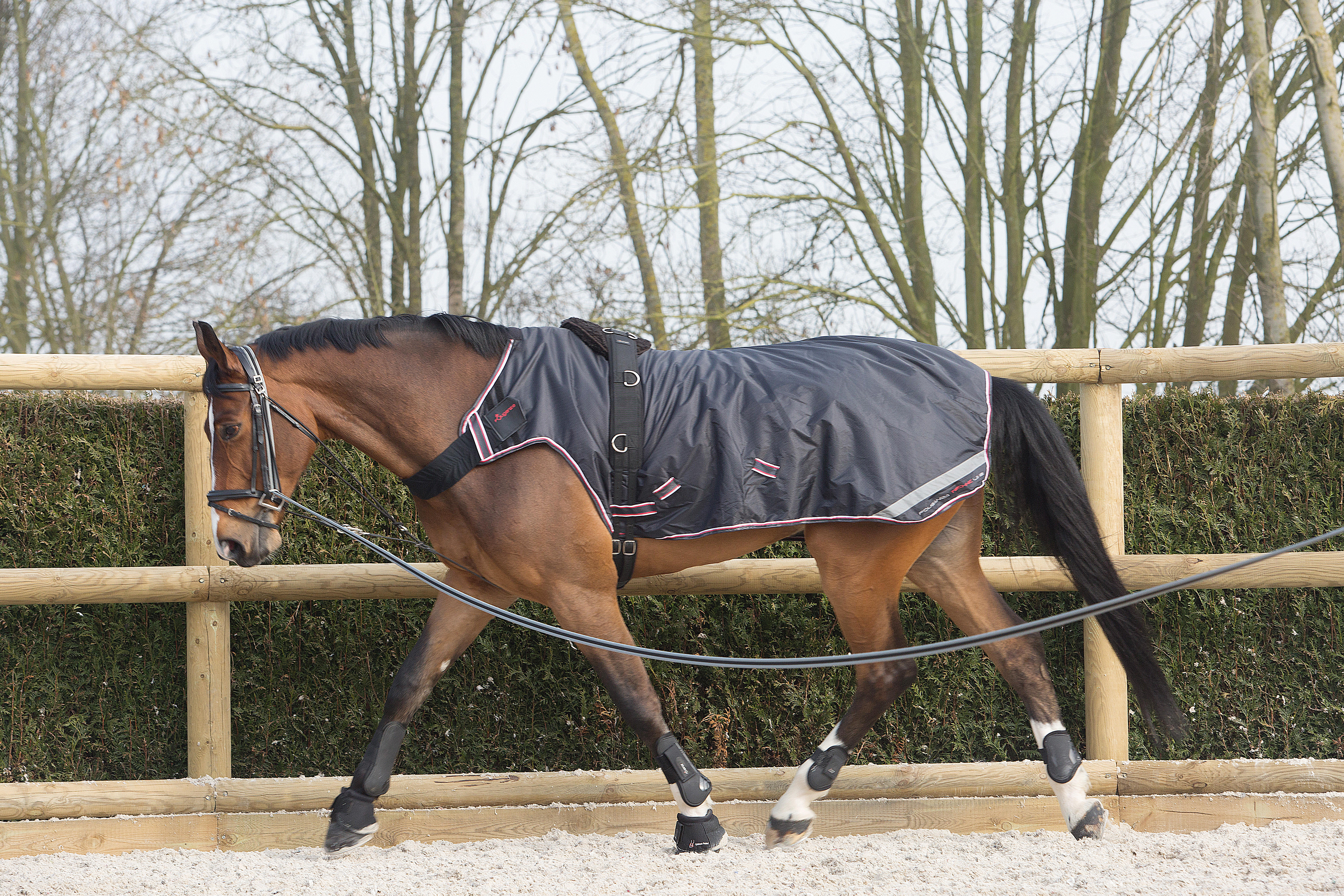 Longe de travail équitation SOFT gris et noir - FOUGANZA