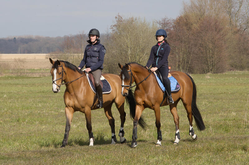 2 protège-boulets équitation poney et cheval RIDING marron