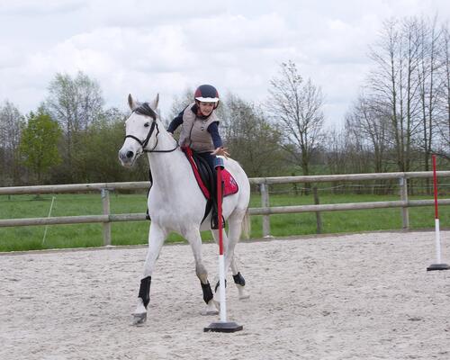 Un petit garçons sur un cheval qui attrape un objet