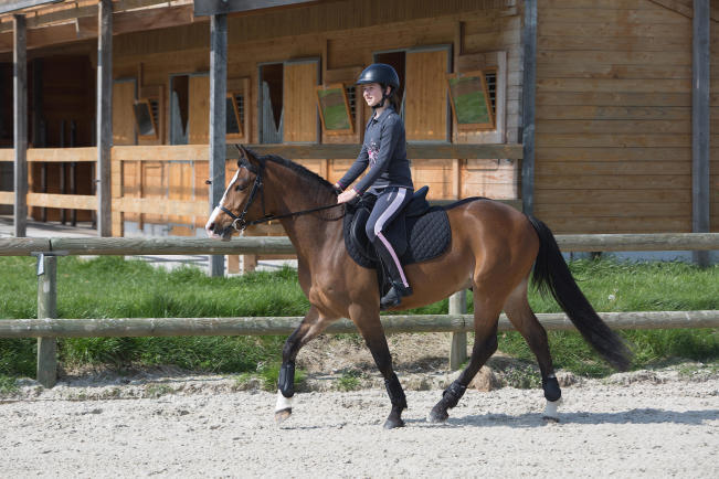 equitation enfant equitation enfant