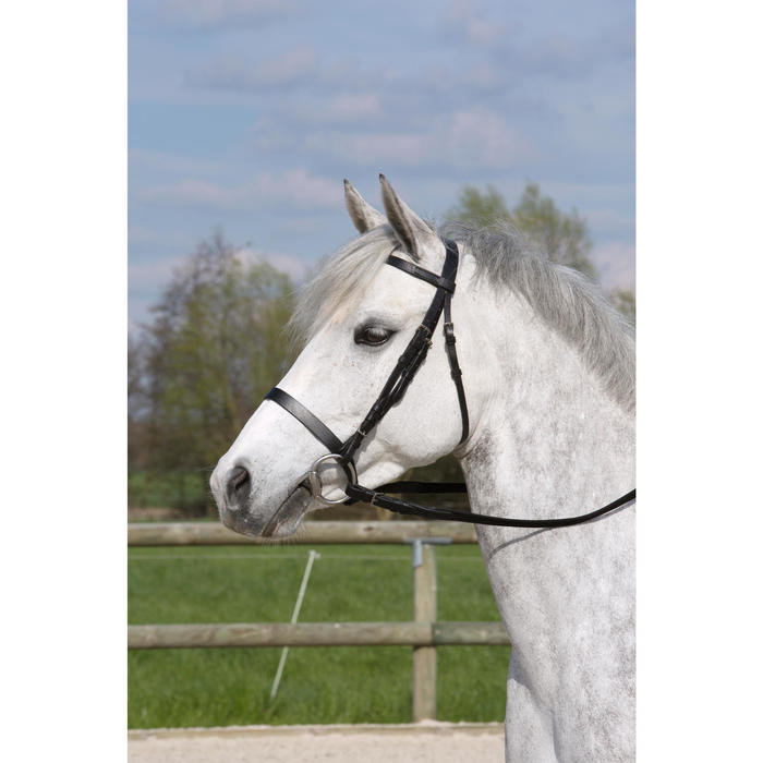 Filet + rênes équitation cheval et poney SCHOOLING cuir noir Fouganza