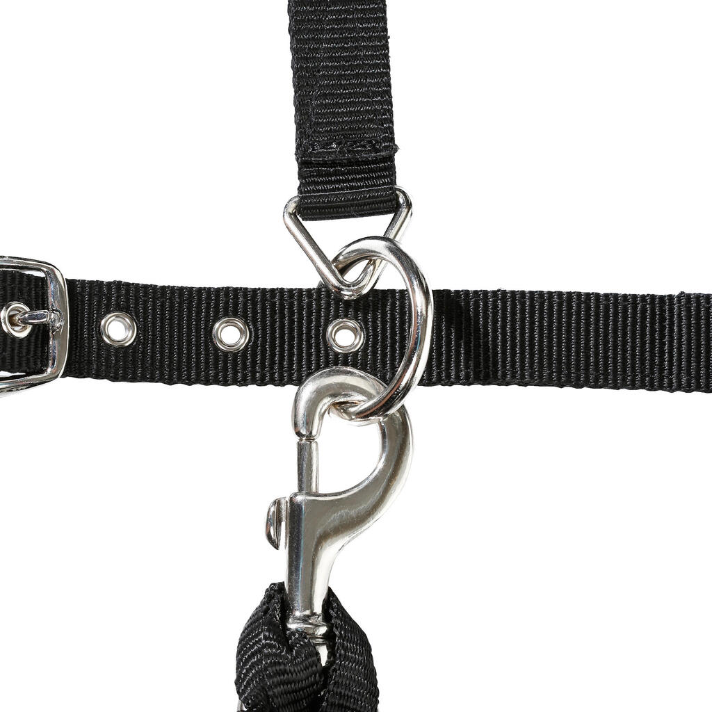 Halfter + Führstrick Strass Pony/Pferd schwarz