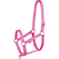 Schooling Horse Riding Halter For Horse Or Pony - Pink