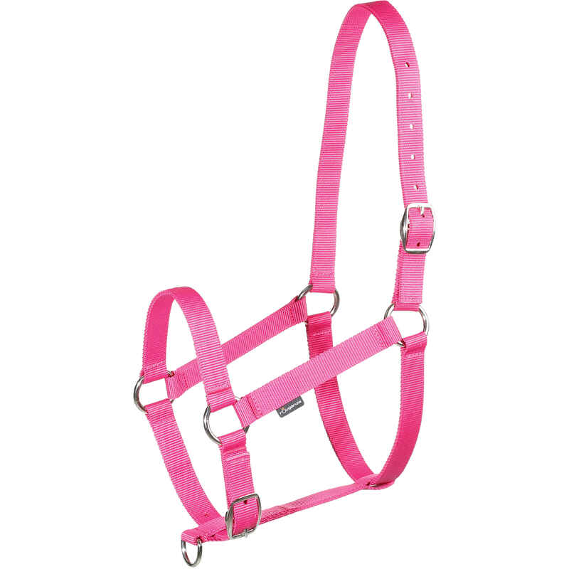 Schooling Horse Riding Halter For Horse Or Pony - Pink