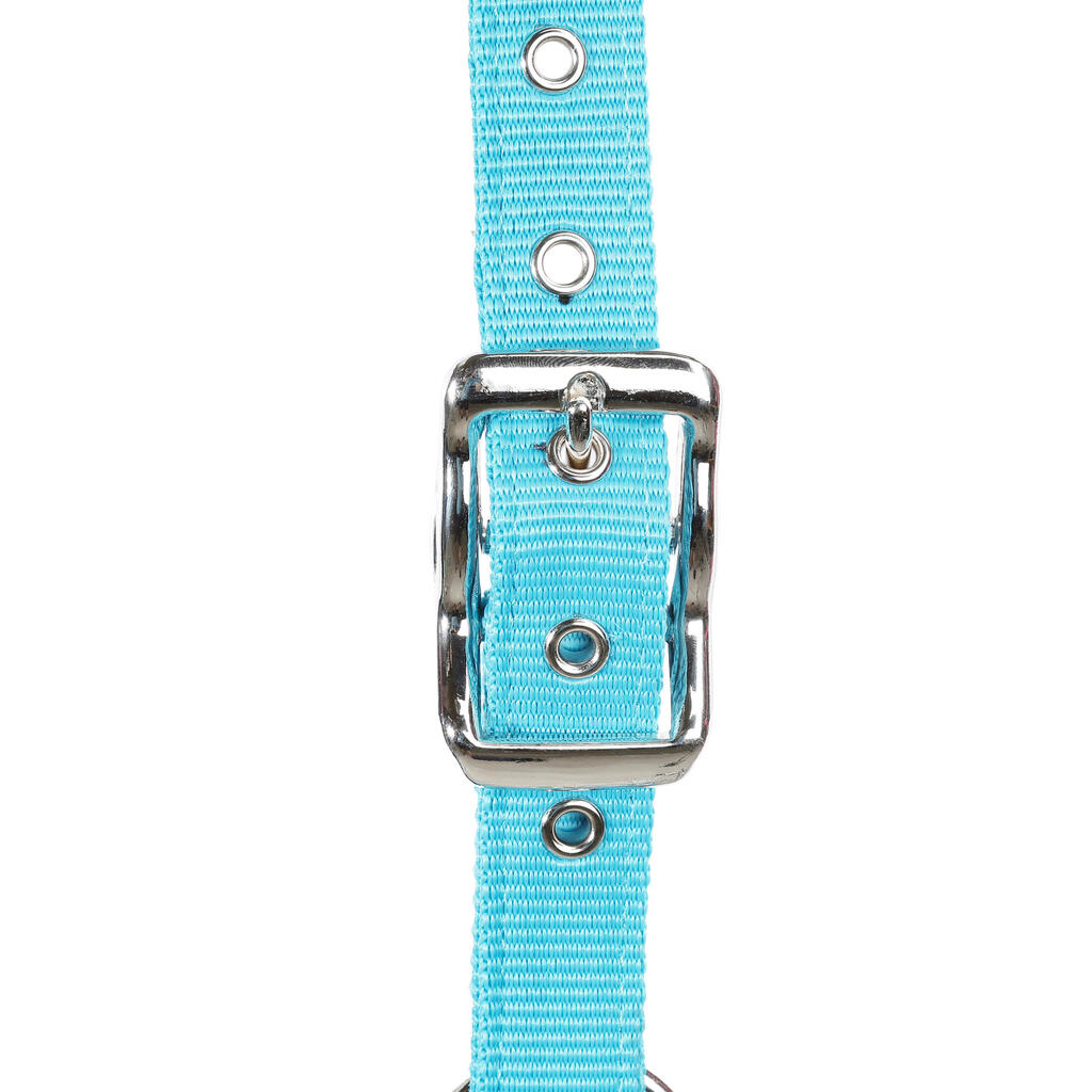Winner Horse Riding Halter + Leadrope Set for Horse and Pony - Royal Blue