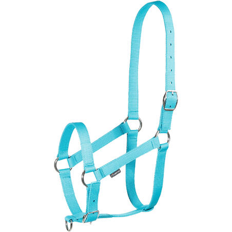 Schooling Horseback Riding Halter for Horse and Pony - Turquoise