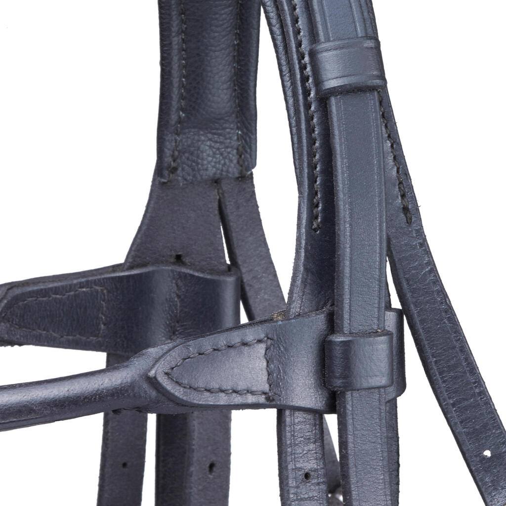 Paddock Horse Riding Bridle + Reins Set - Black