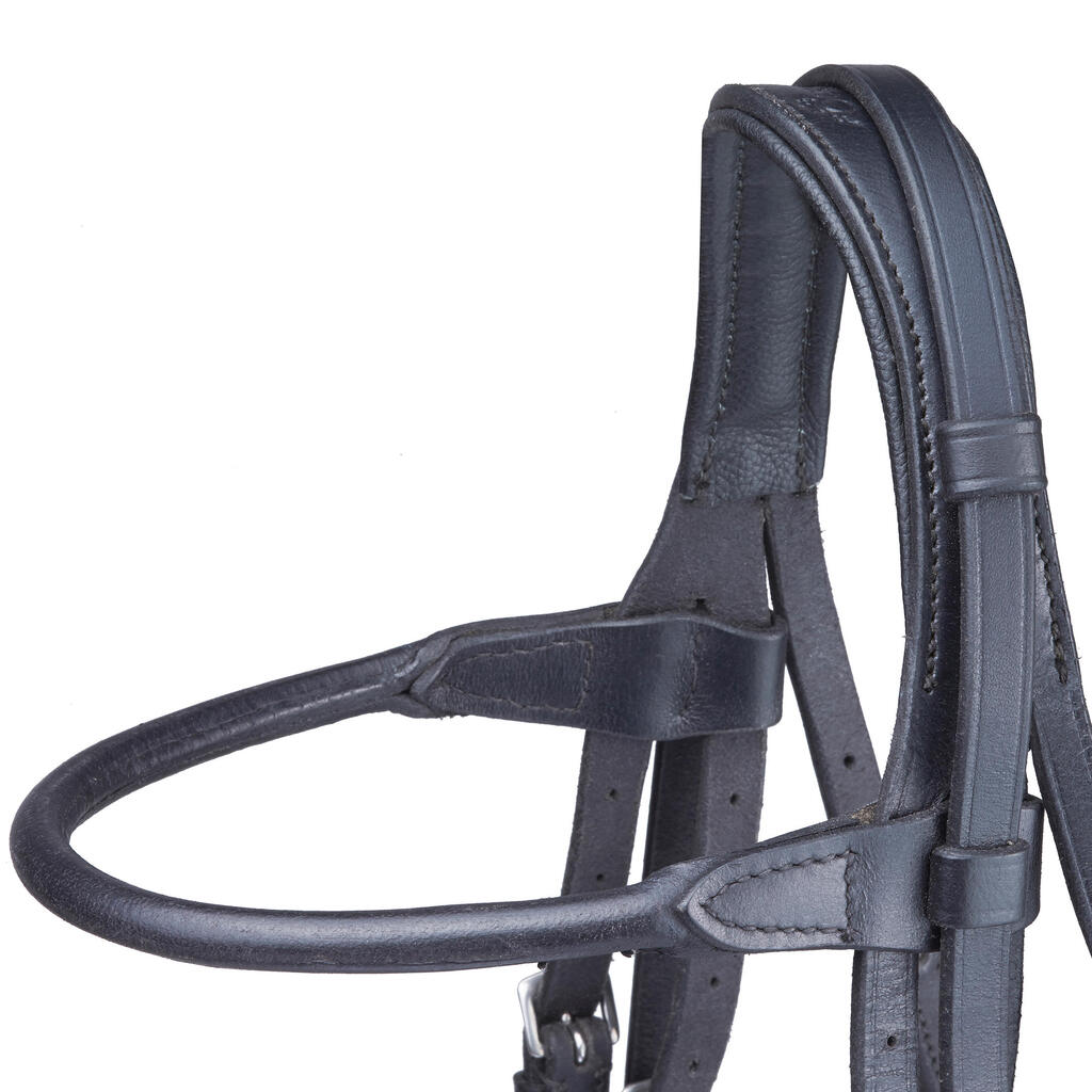 Paddock Horse Riding Bridle + Reins Set - Black