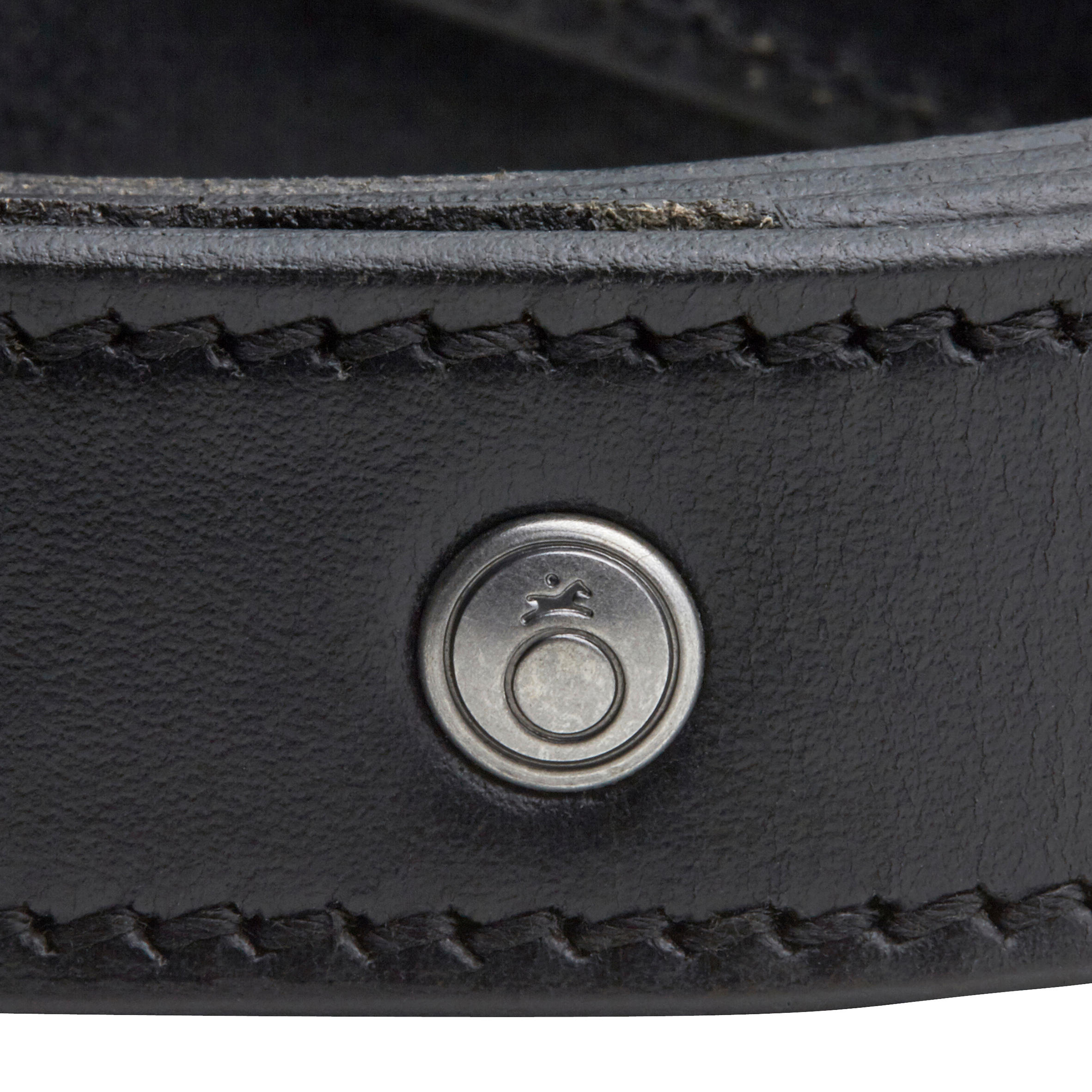 Adult Horse Riding Leather Belt - Black 5/5