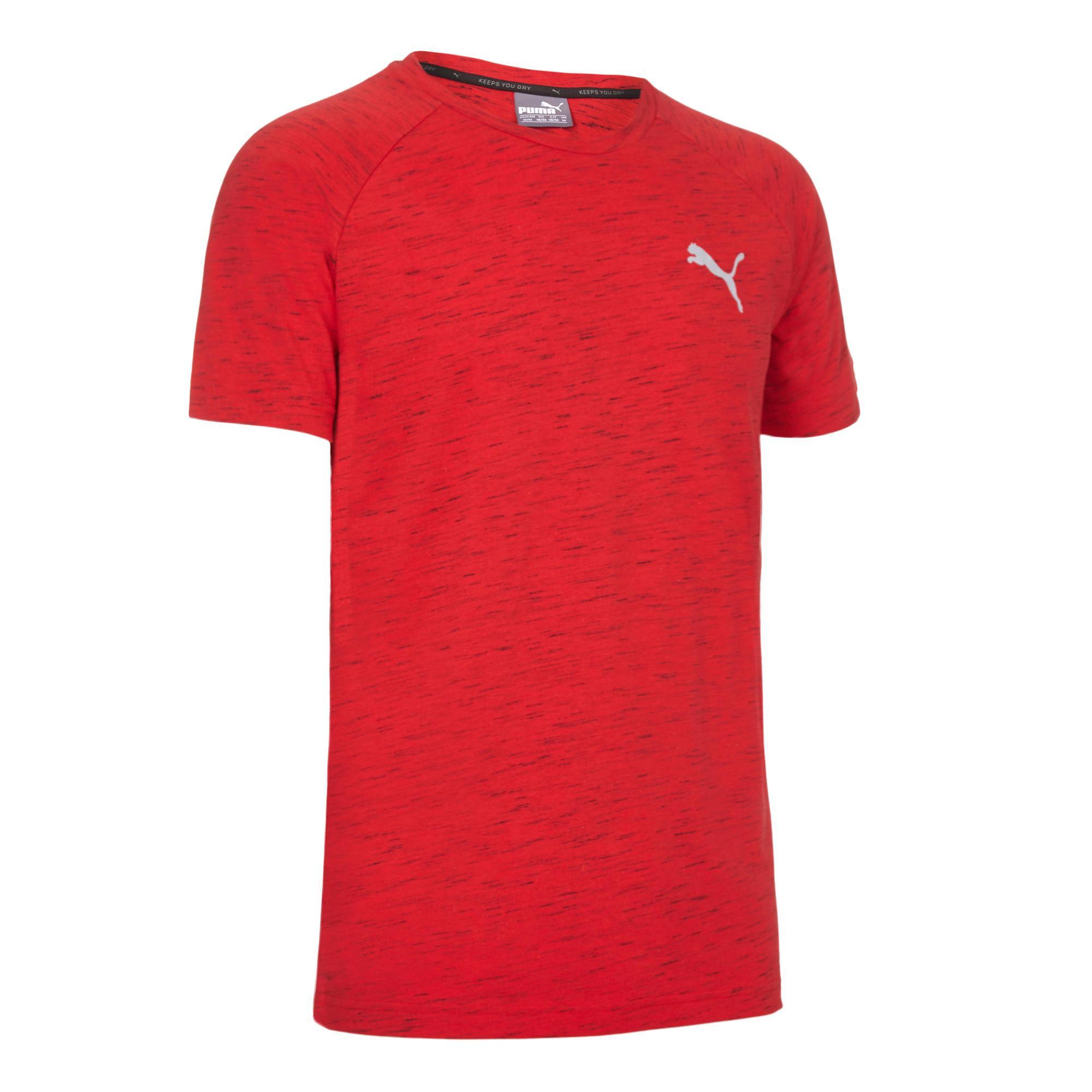 Men's fitness t-shirt EVOSTRIPE RED