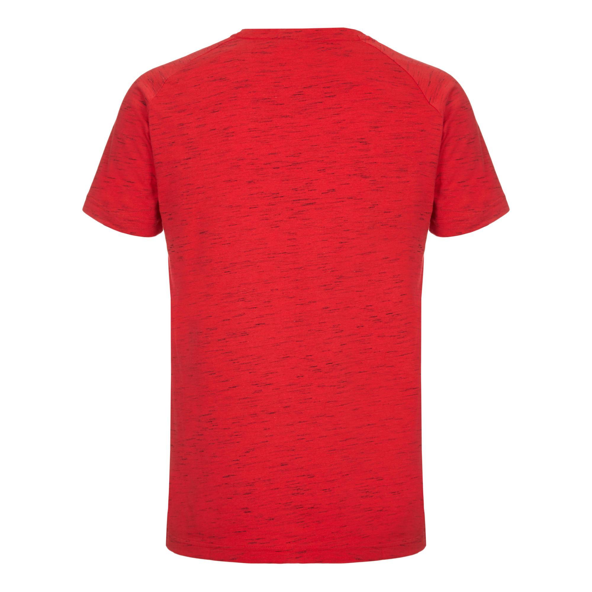 Men's fitness t-shirt EVOSTRIPE RED