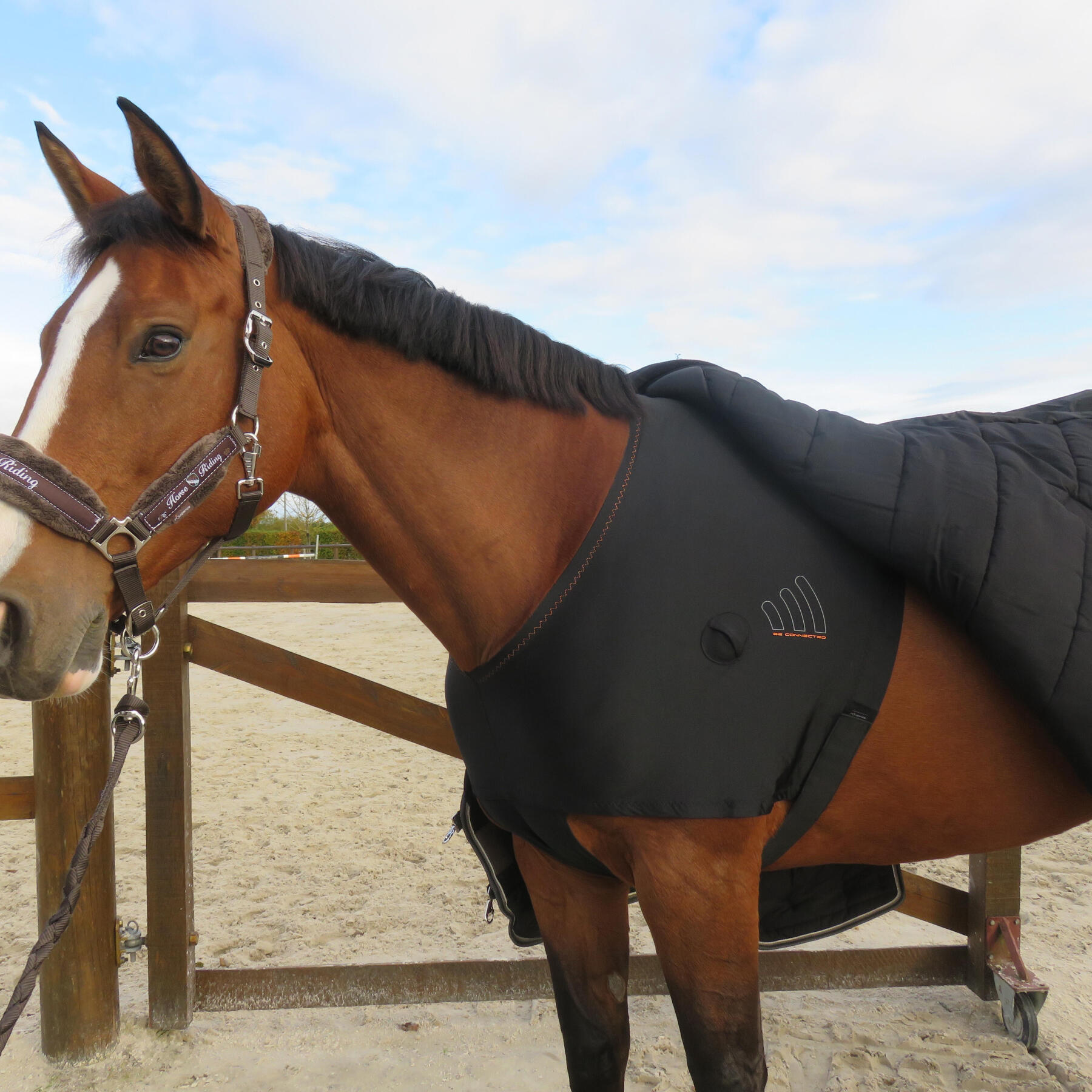 hebergement_cheval_box_pré