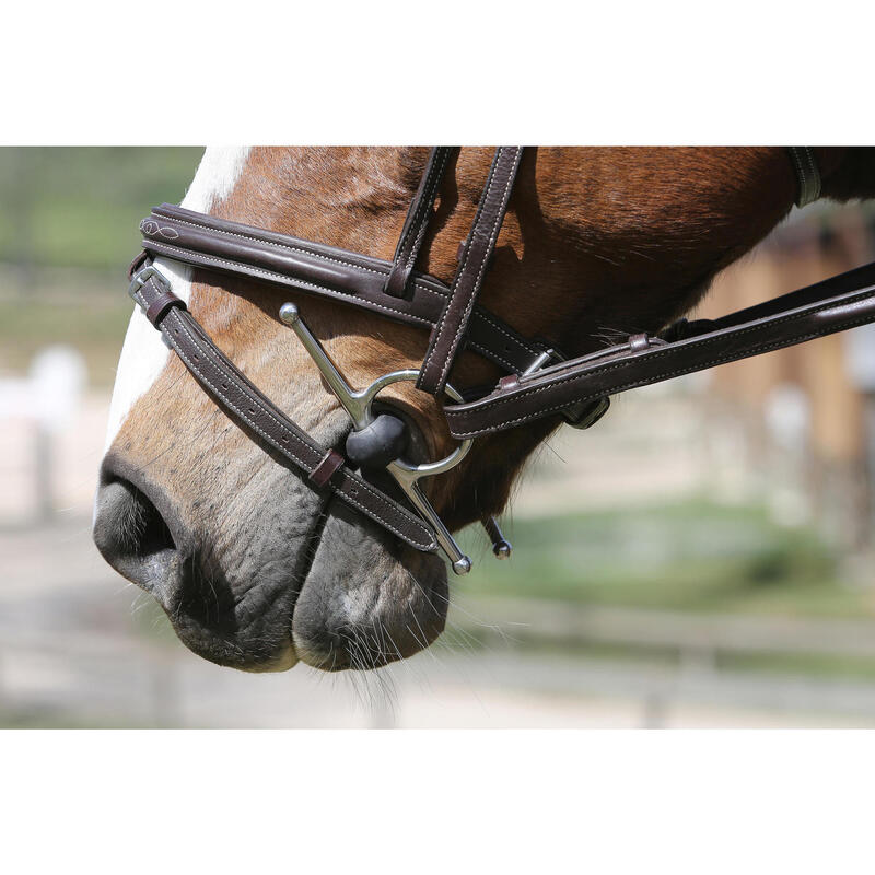 Filete equitación fouganza de palillos caballo y poni de caucho