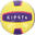 BV100 Beach Volleyball - Yellow/Purple