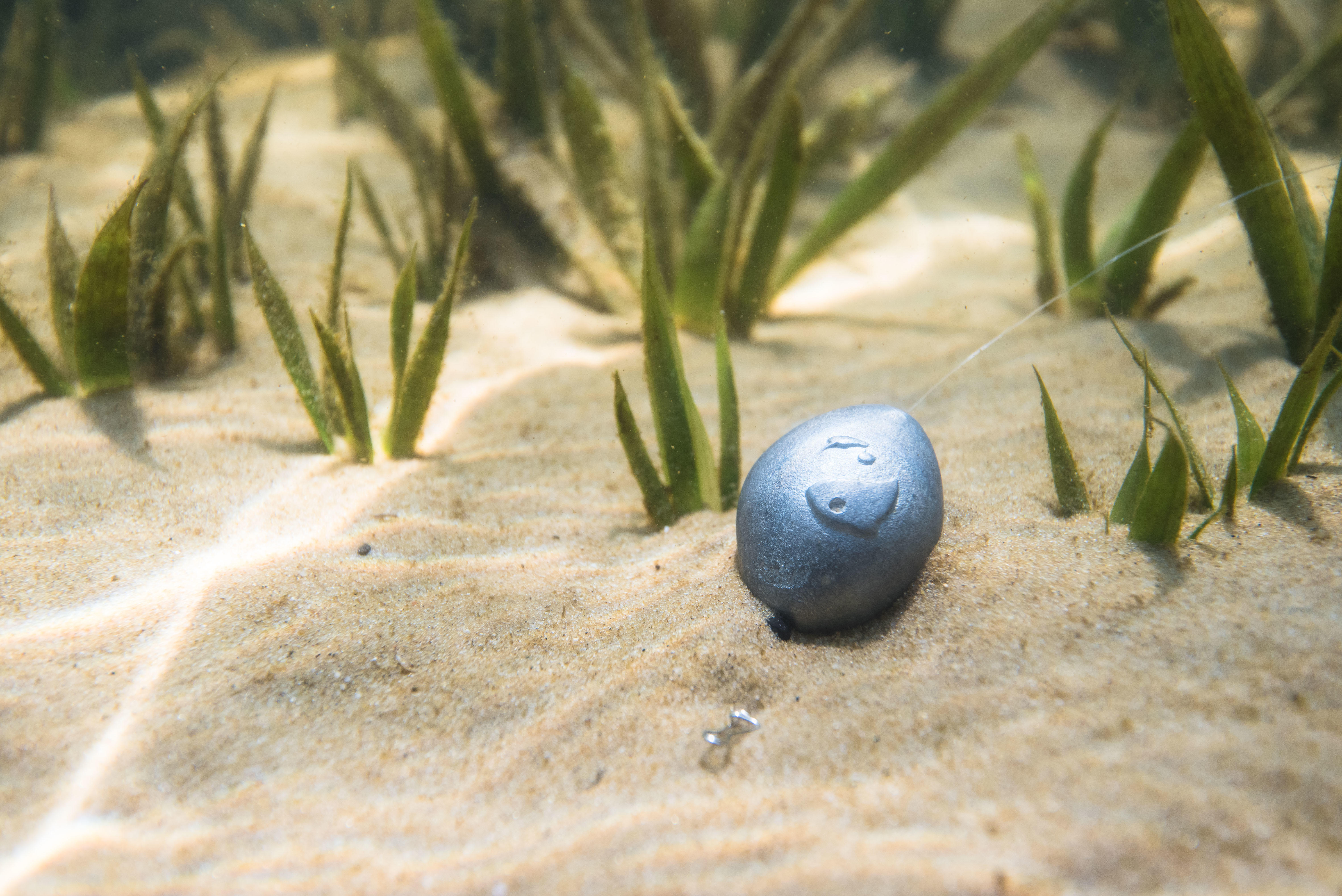 Lests de pêche olive bombée percée 0% plomb - CAPERLAN