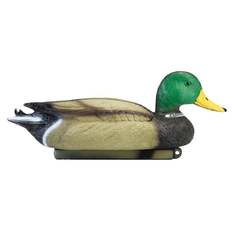 APPELANT COLVERT MALE