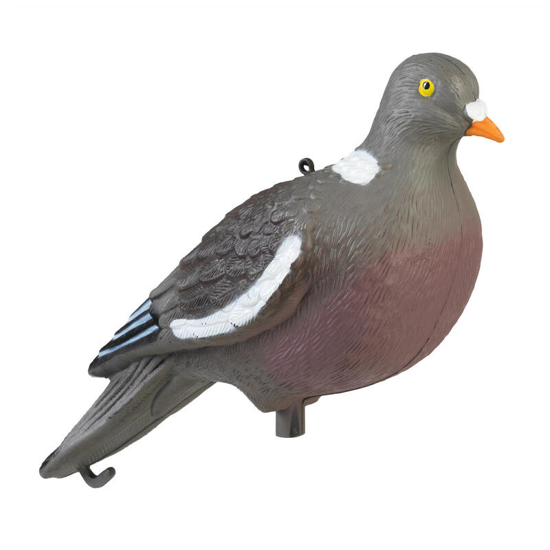 Lokmiddelen duiven en raven
