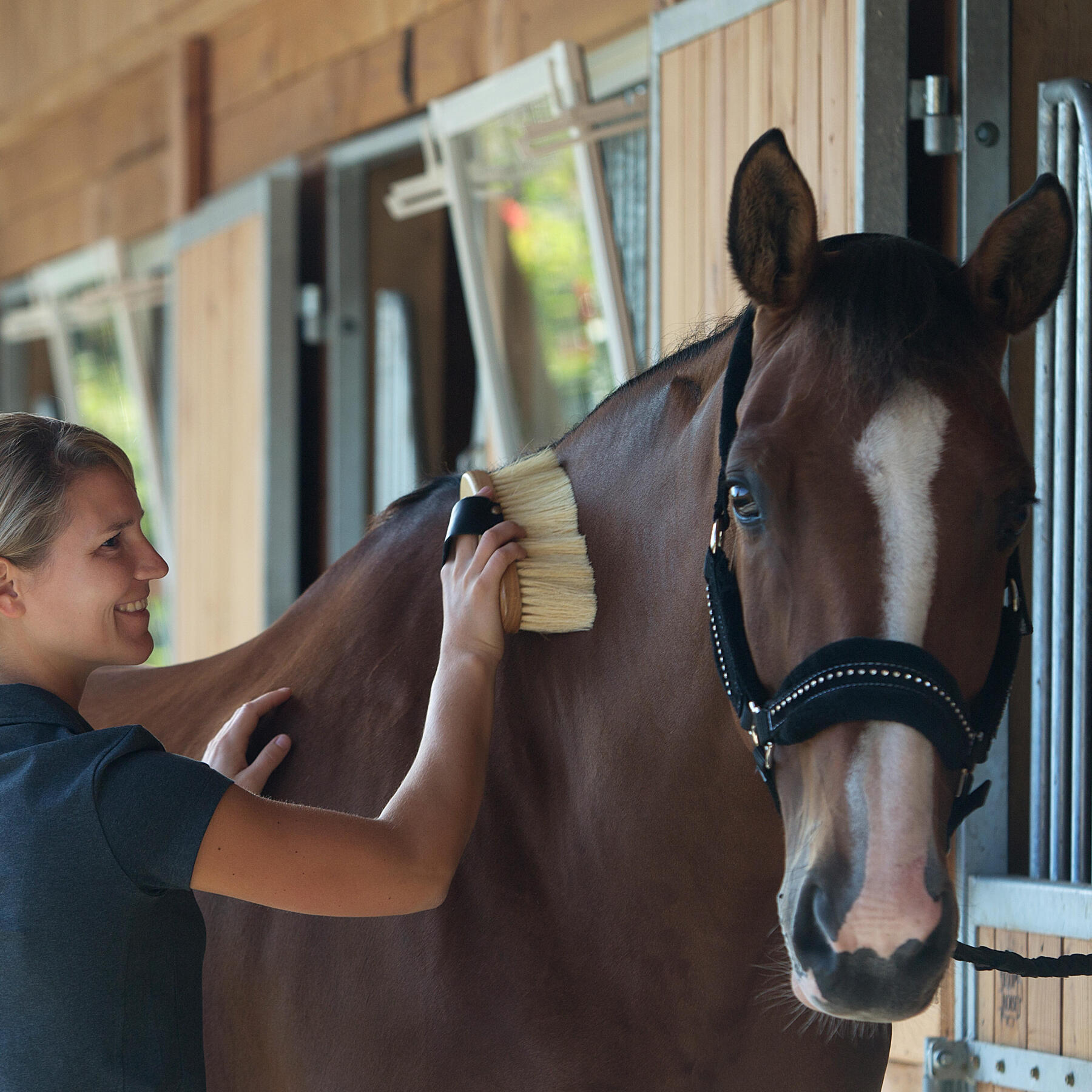 Le pansage d'un cheval : avec quoi et comment brosser un cheval ?