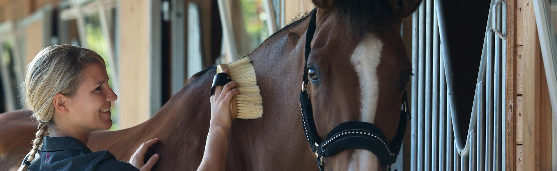 Favoriser le bien-être du cheval au pansage