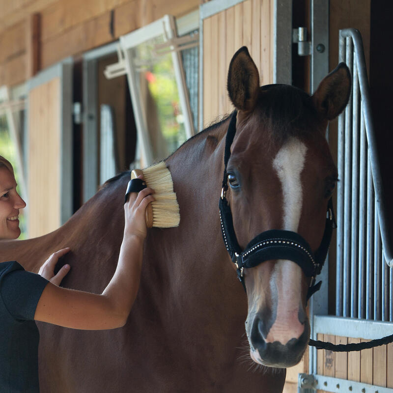 bien-etre-pansage-cheval-equitation-fouganza-2