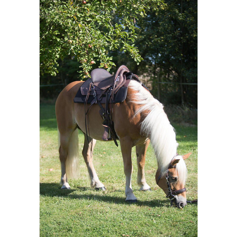 Bridon licol + rênes équitation randonnée cheval - Escape marron