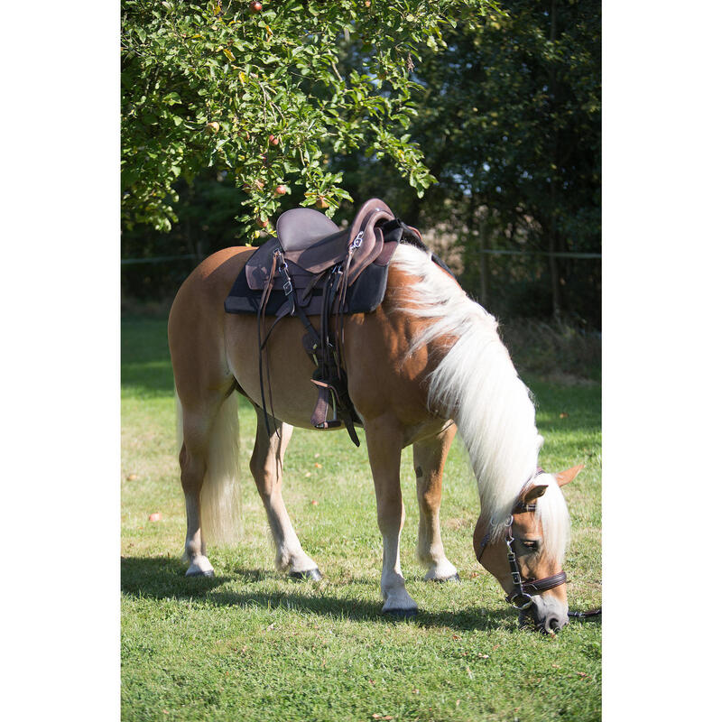 Cabeçada + Cabeção + Rédeas de Equitação de Passeio para Cavalo Escape Castanho