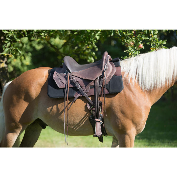 selles de chevaux en 8 lettres