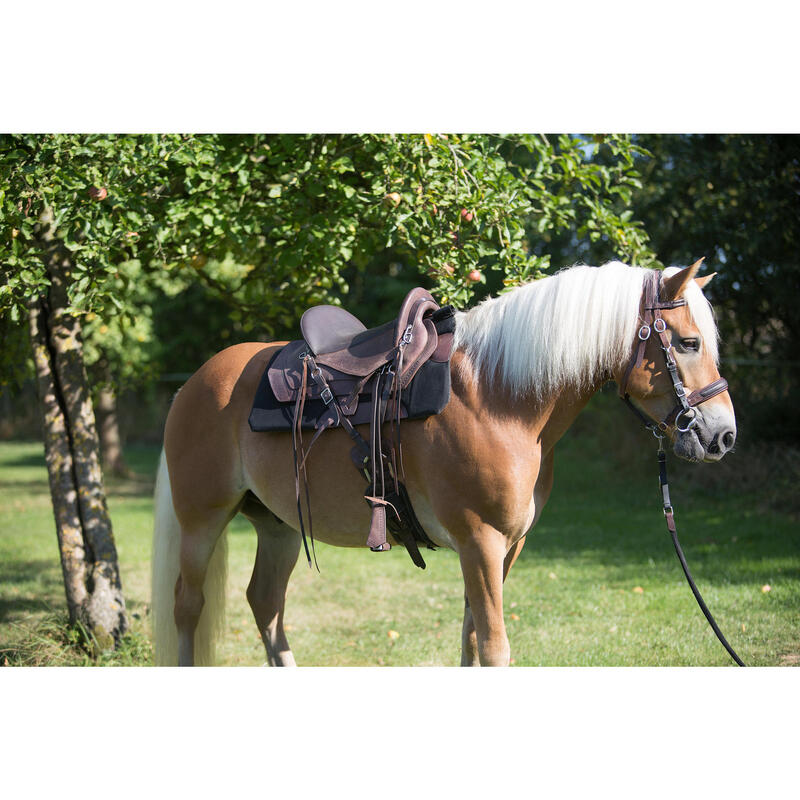 Bridon licol + rênes équitation randonnée cheval - Escape marron