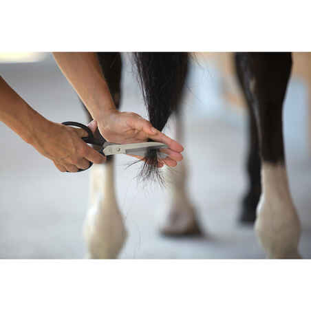 Horse Riding Grooming Scissors for Horse and Pony