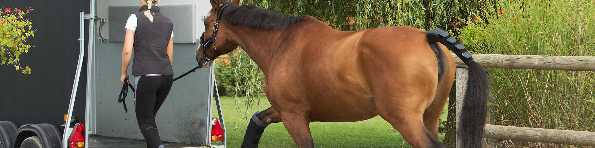 Equiper son cheval pour le transport en van ou camion