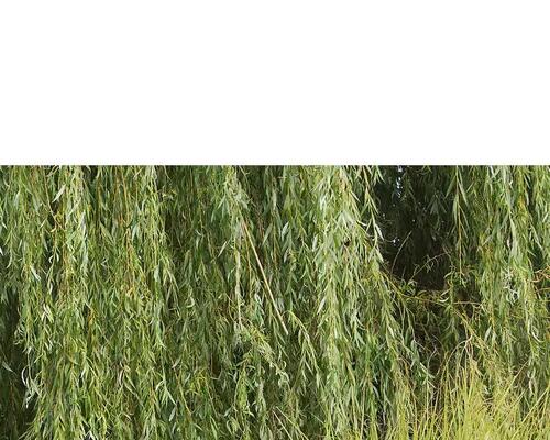 Equiper son cheval pour le transport en van ou camion