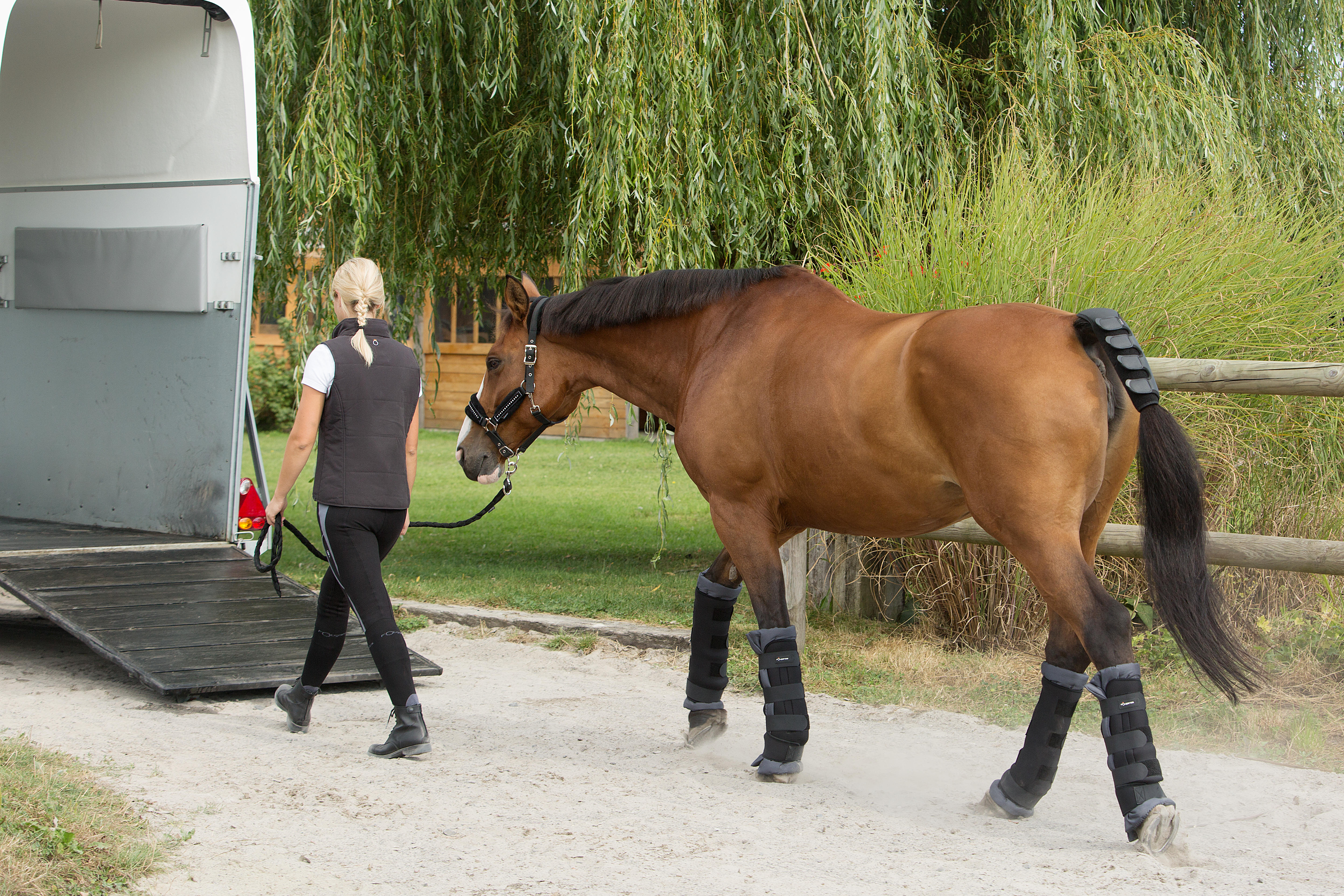 Horse Riding Stable Boots With Integrated Cotton Pads For Horse Pair - Black - FOUGANZA