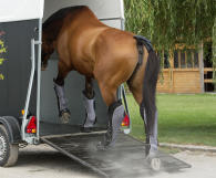 bien-equiper-son-cheval-pour-le-transport