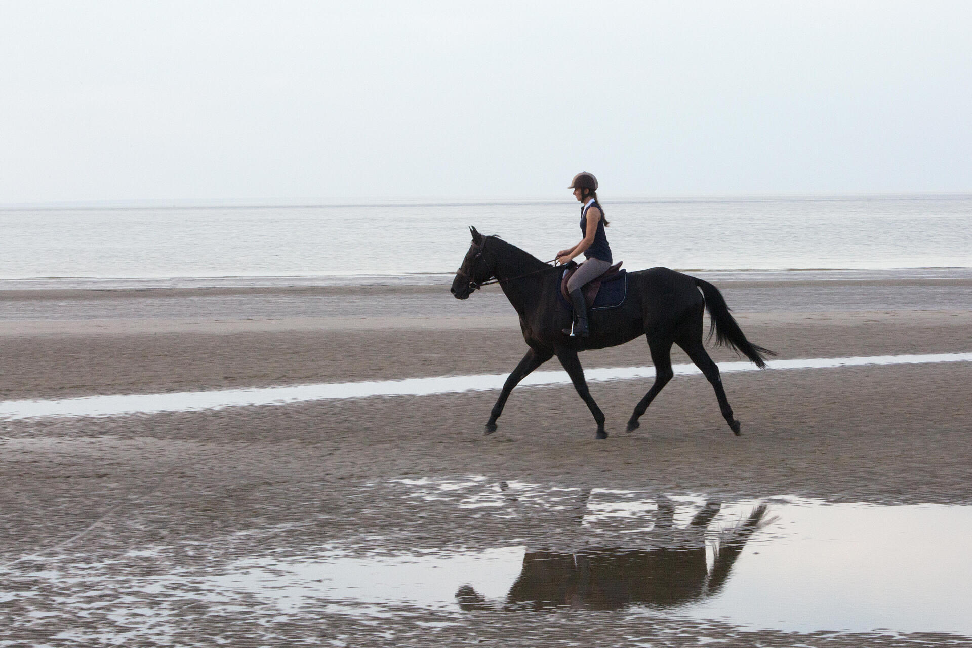 cavalière et son cheval en train de trotter sur une plage